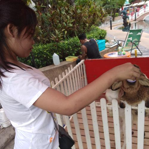 สมาชิกหมายเลข 4712260