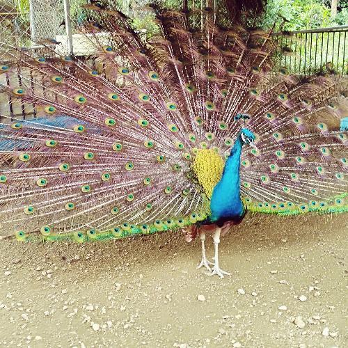 สมาชิกหมายเลข 5073479