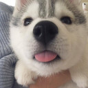 สมาชิกหมายเลข 5082571