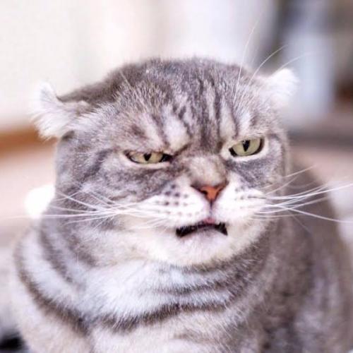 สมาชิกหมายเลข 5082607