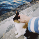 สมาชิกหมายเลข 5082626