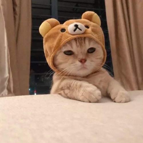 สมาชิกหมายเลข 5475273