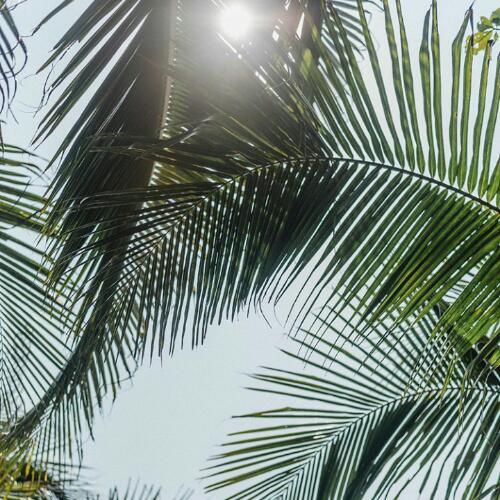 สมาชิกหมายเลข 5475459