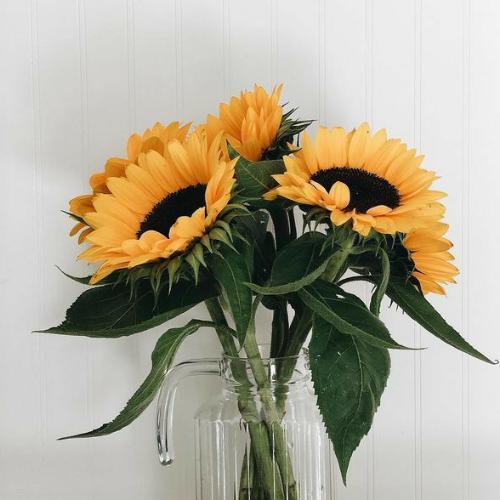 สมาชิกหมายเลข 5475495