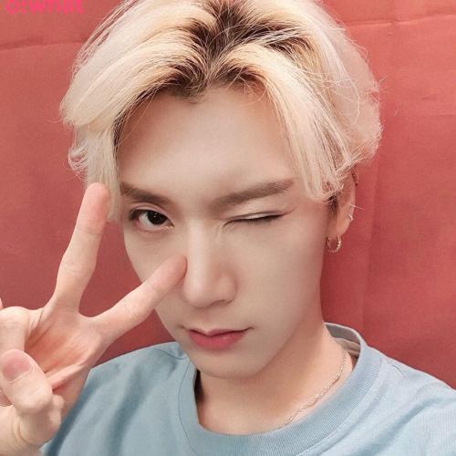 สมาชิกหมายเลข 2420404