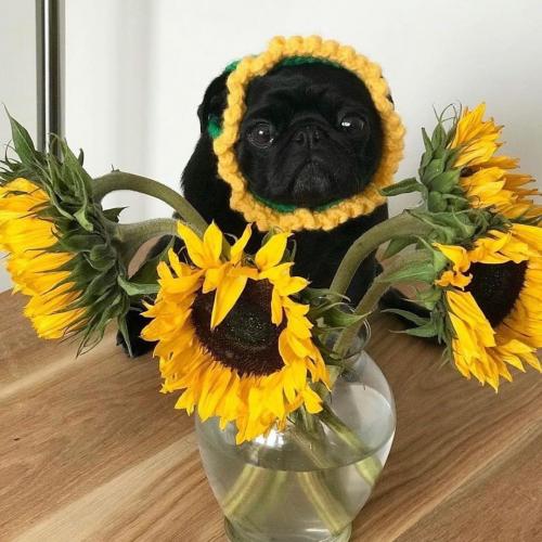 สมาชิกหมายเลข 5183346