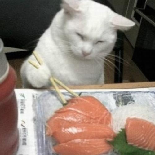 สมาชิกหมายเลข 5162880