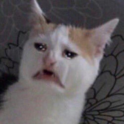 สมาชิกหมายเลข 6616685