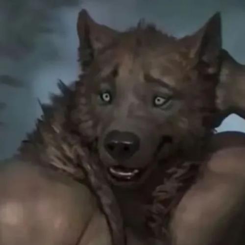 สมาชิกหมายเลข 9233552