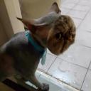 สมาชิกหมายเลข 1897373