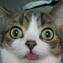 สมาชิกหมายเลข 3372336