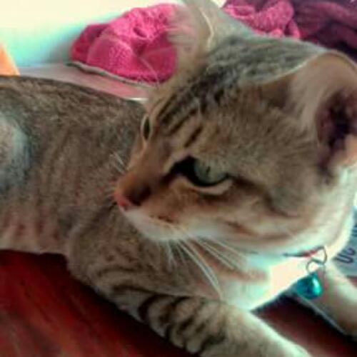 สมาชิกหมายเลข 4712531