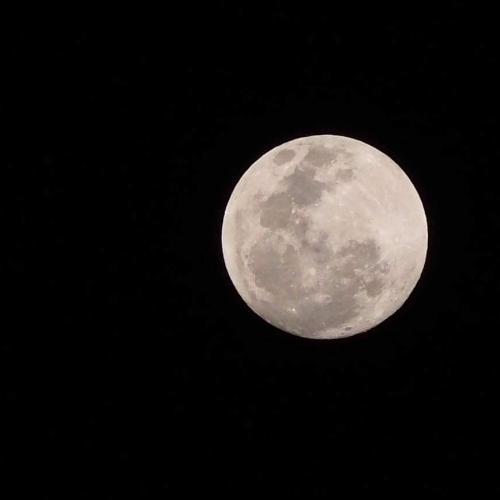 สมาชิกหมายเลข 4519898