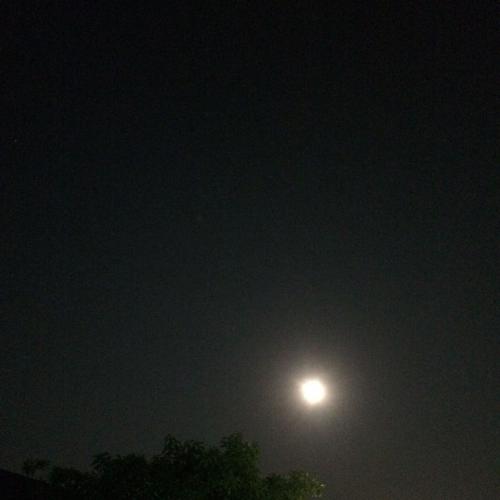 สมาชิกหมายเลข 5049749