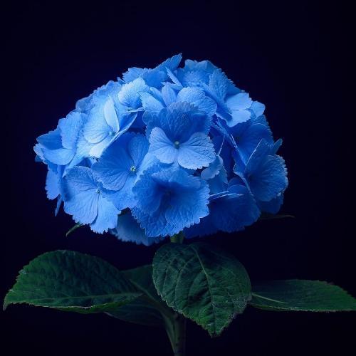 สมาชิกหมายเลข 5082813