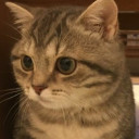 สมาชิกหมายเลข 4667524