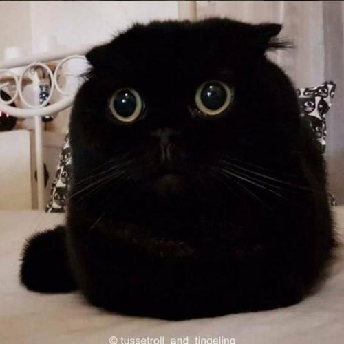 สมาชิกหมายเลข 5475568