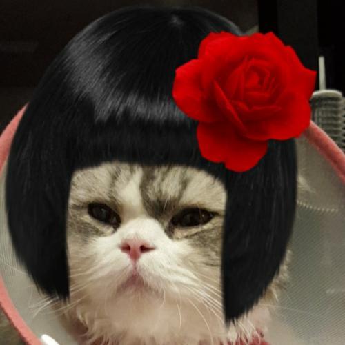 สมาชิกหมายเลข 5475615