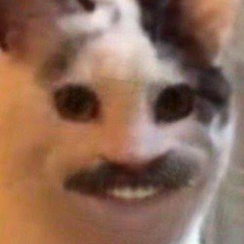 สมาชิกหมายเลข 5375072