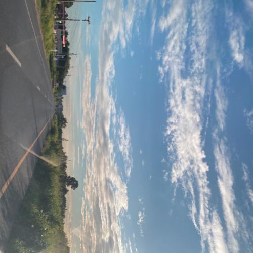 สมาชิกหมายเลข 6617697