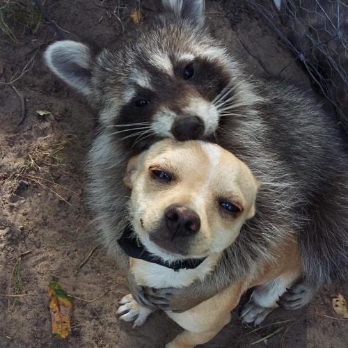 สมาชิกหมายเลข 6565968