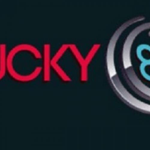 สมาชิกหมายเลข 7358055