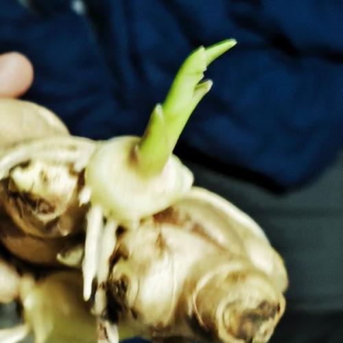 สมาชิกหมายเลข 8235814