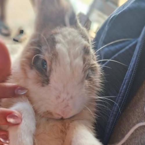 สมาชิกหมายเลข 8340502