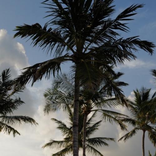 สมาชิกหมายเลข 9227897