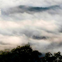 สมาชิกหมายเลข 4712924