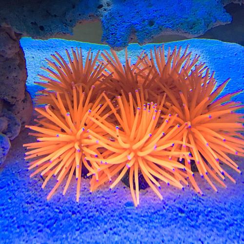 สมาชิกหมายเลข 4712959