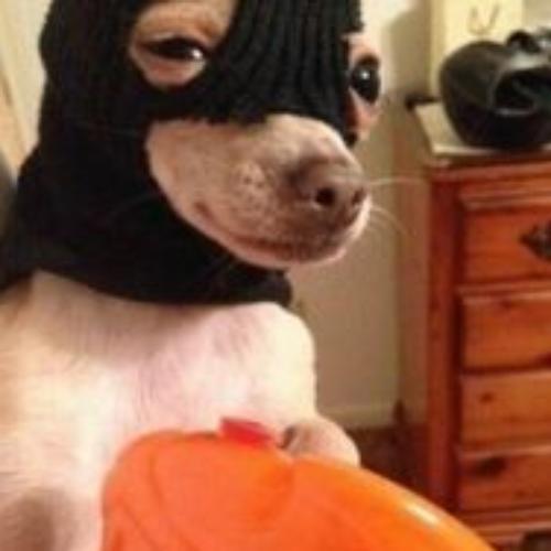 สมาชิกหมายเลข 6618150