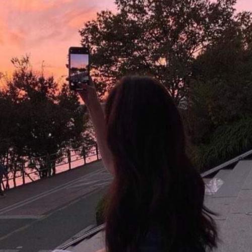 สมาชิกหมายเลข 7351188