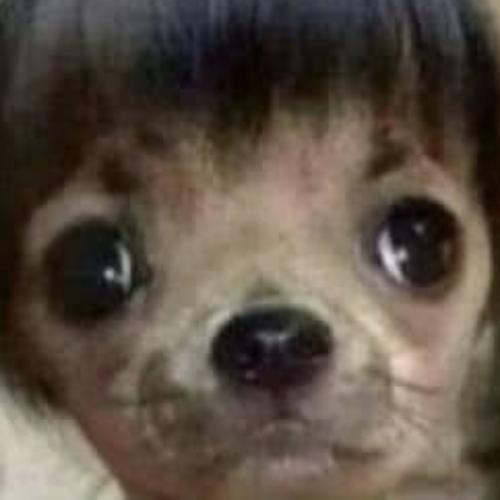 สมาชิกหมายเลข 8237557