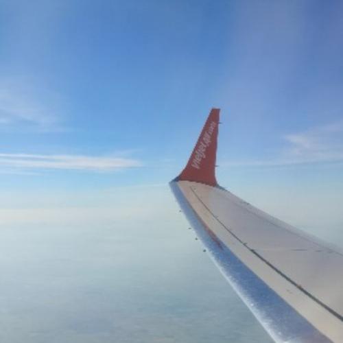 สมาชิกหมายเลข 3160256