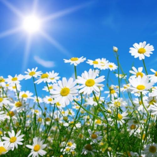 สมาชิกหมายเลข 5832049