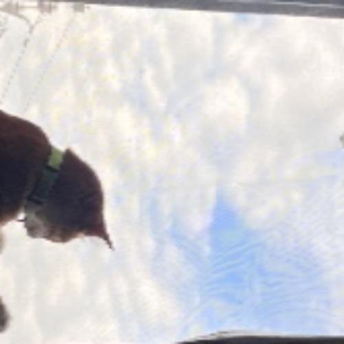 สมาชิกหมายเลข 9235243