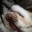 สมาชิกหมายเลข 1718675