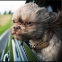 สมาชิกหมายเลข 3429578