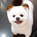 สมาชิกหมายเลข 3747502