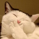 สมาชิกหมายเลข 3877117