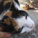 ManDaTeE