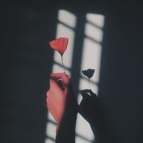 สมาชิกหมายเลข 5081366