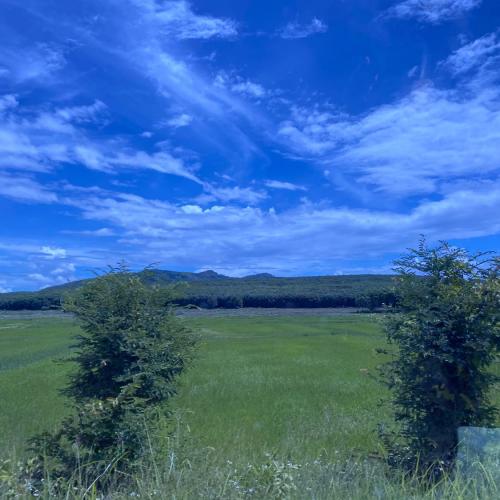 สมาชิกหมายเลข 4980101