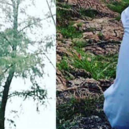 สมาชิกหมายเลข 5990298