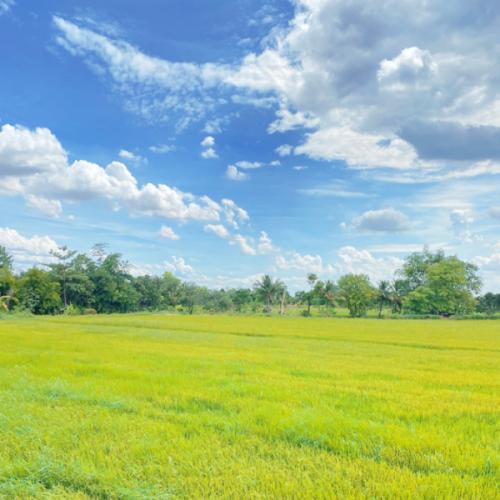 สมาชิกหมายเลข 1200434