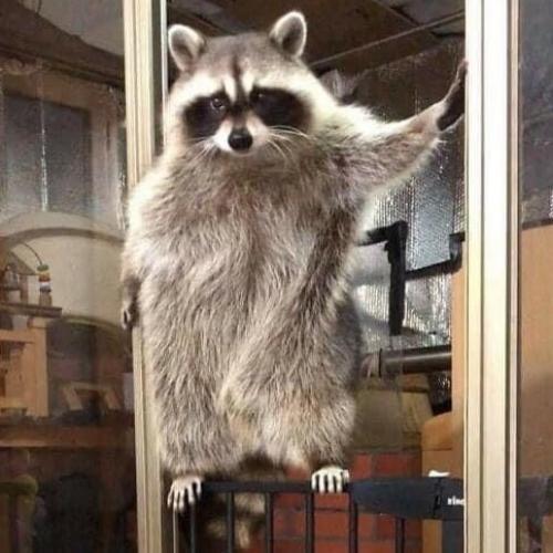 สมาชิกหมายเลข 7348110