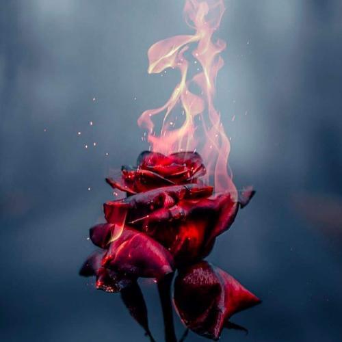 สมาชิกหมายเลข 8002098