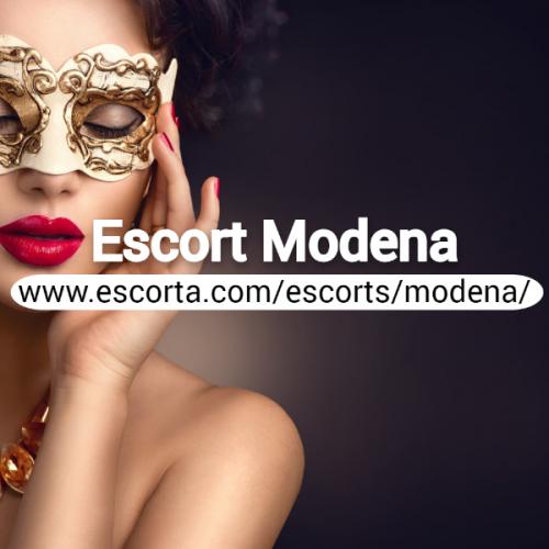 สมาชิกหมายเลข 8238041