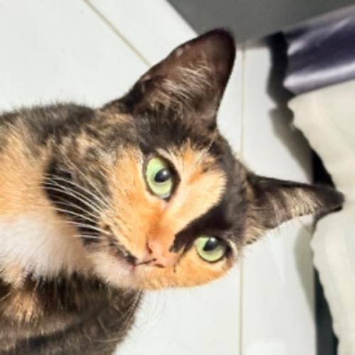 สมาชิกหมายเลข 6121935